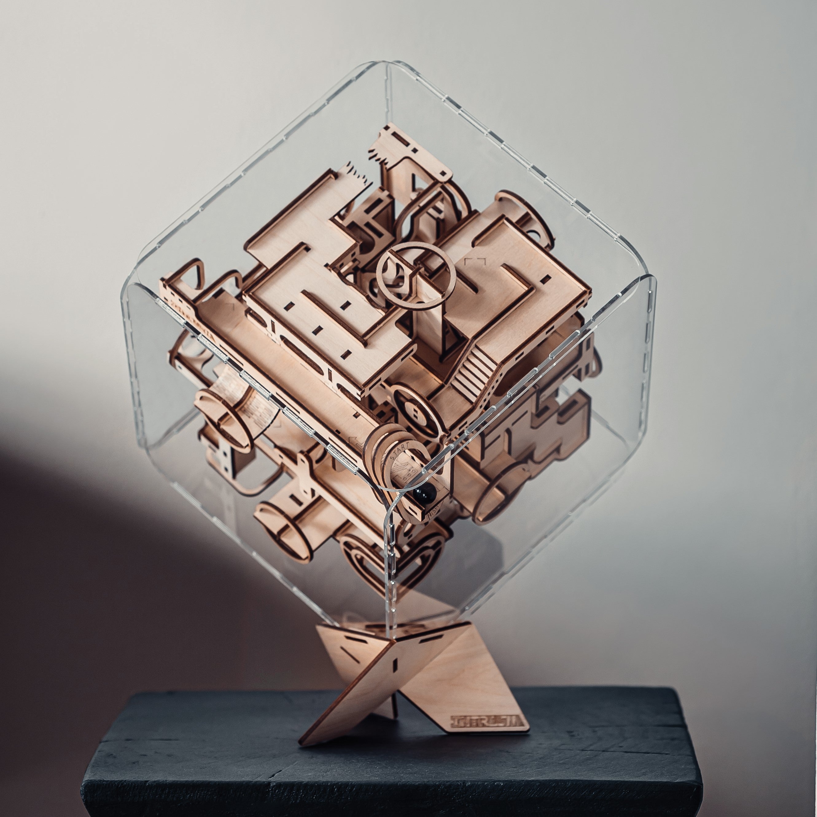 Intrism Pro | 3D Wooden Puzzle for Adults